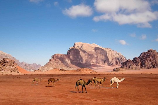 صورة الجولة 5