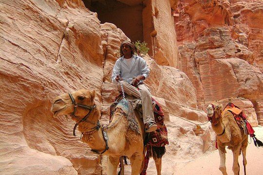 صورة الجولة 8