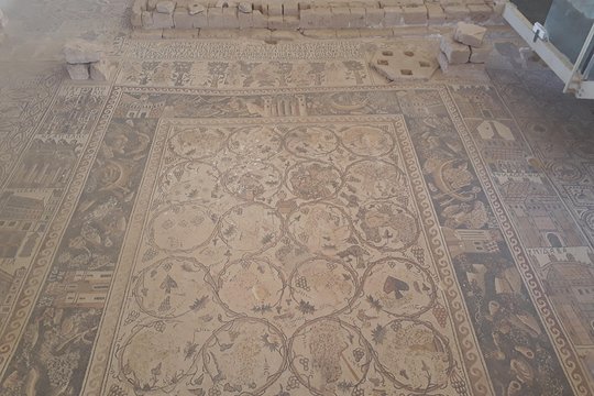 صورة الجولة 8