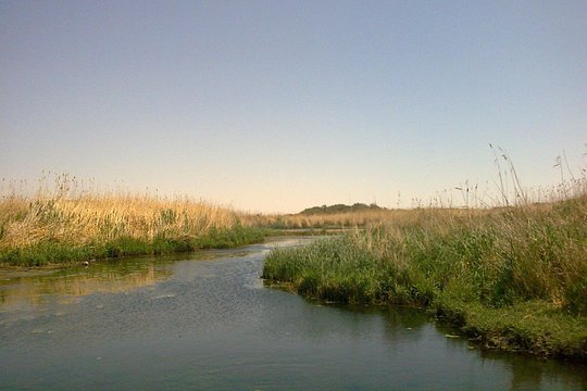صورة الجولة 2