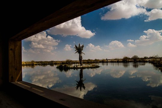 صورة الجولة 4