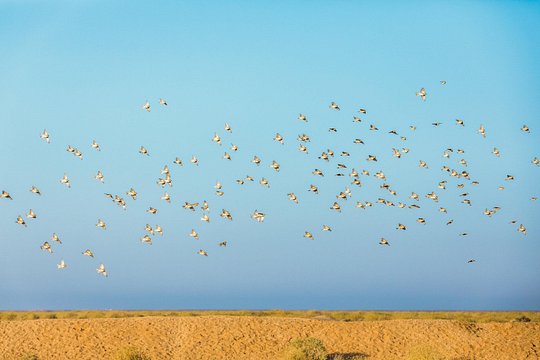 صورة الجولة 5
