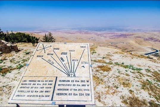 صورة الجولة 8
