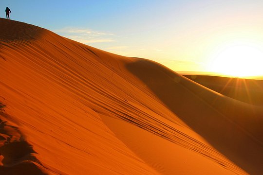 صورة الجولة 14