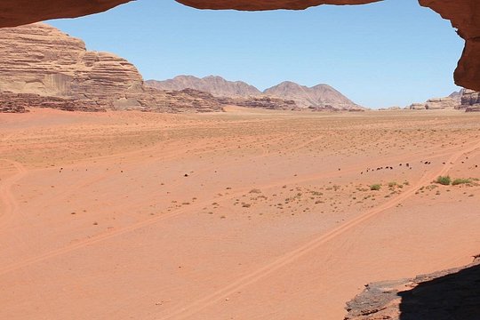 صورة الجولة 13