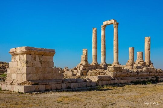 صورة الجولة 11