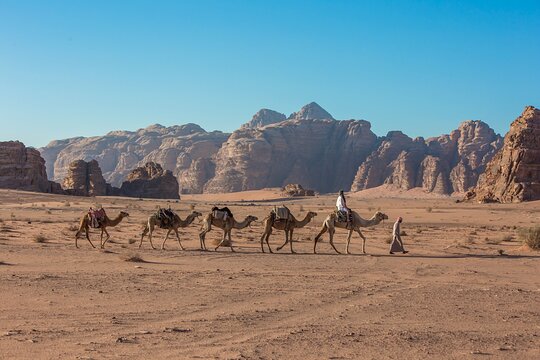 Tur görseli 5