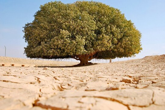 صورة الجولة 1