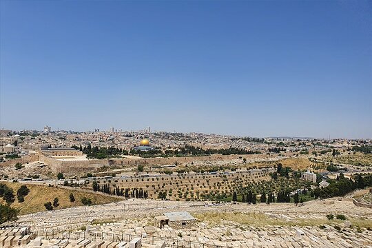 صورة الجولة 1