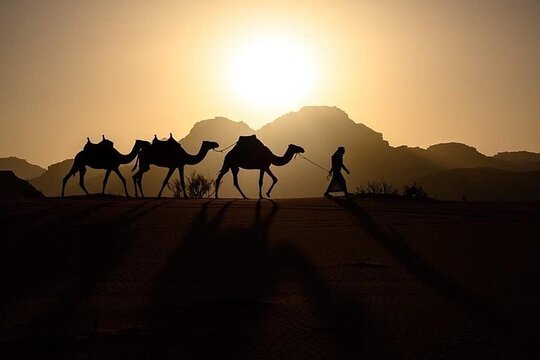 صورة الجولة 7