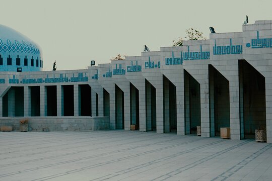 صورة الجولة 11