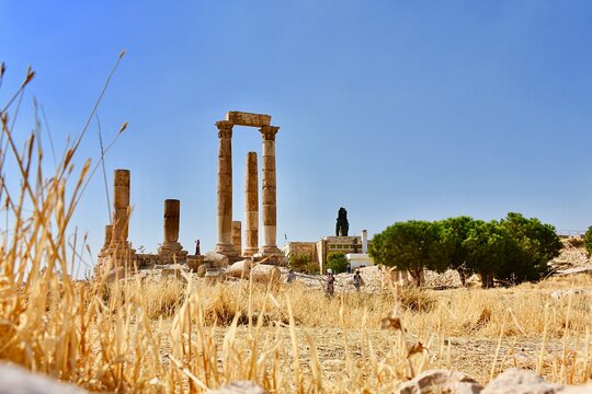 صورة الجولة 13